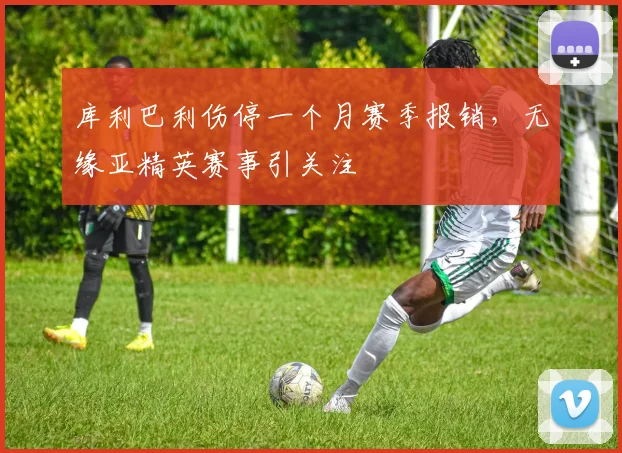 库利巴利伤停一个月赛季报销，无缘亚精英赛事引关注